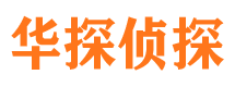 青神市调查公司